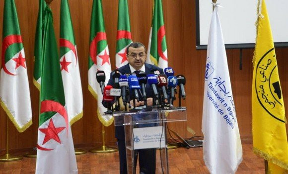 Mines : l'exploitation du gisement de zinc-plomb de Tala Hamza-Amizour boostera la croissance économique