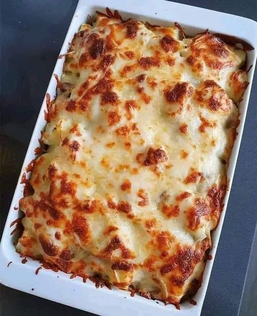 كراتان بالبطاطس و الدجاج و صلصة بشاميل ولا ألذ🍄