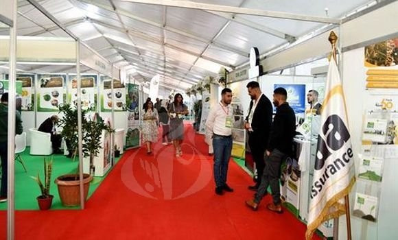 Constantine: ouverture du salon international Agrest-Expo