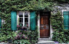 Planète (France/Europe)  - Faut-il arracher le lierre qui pousse sur les arbres et les façades ?