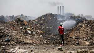 Illoula Oumalou (Tizi Ouzou) Cri de détresse d'un olivier à Boubhir