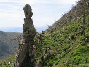 غابة أزرو ومضايق تاويالت (بلدية الأسنام):