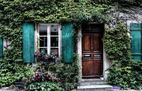 Planète (France/Europe)  - Faut-il arracher le lierre qui pousse sur les arbres et les façades ?