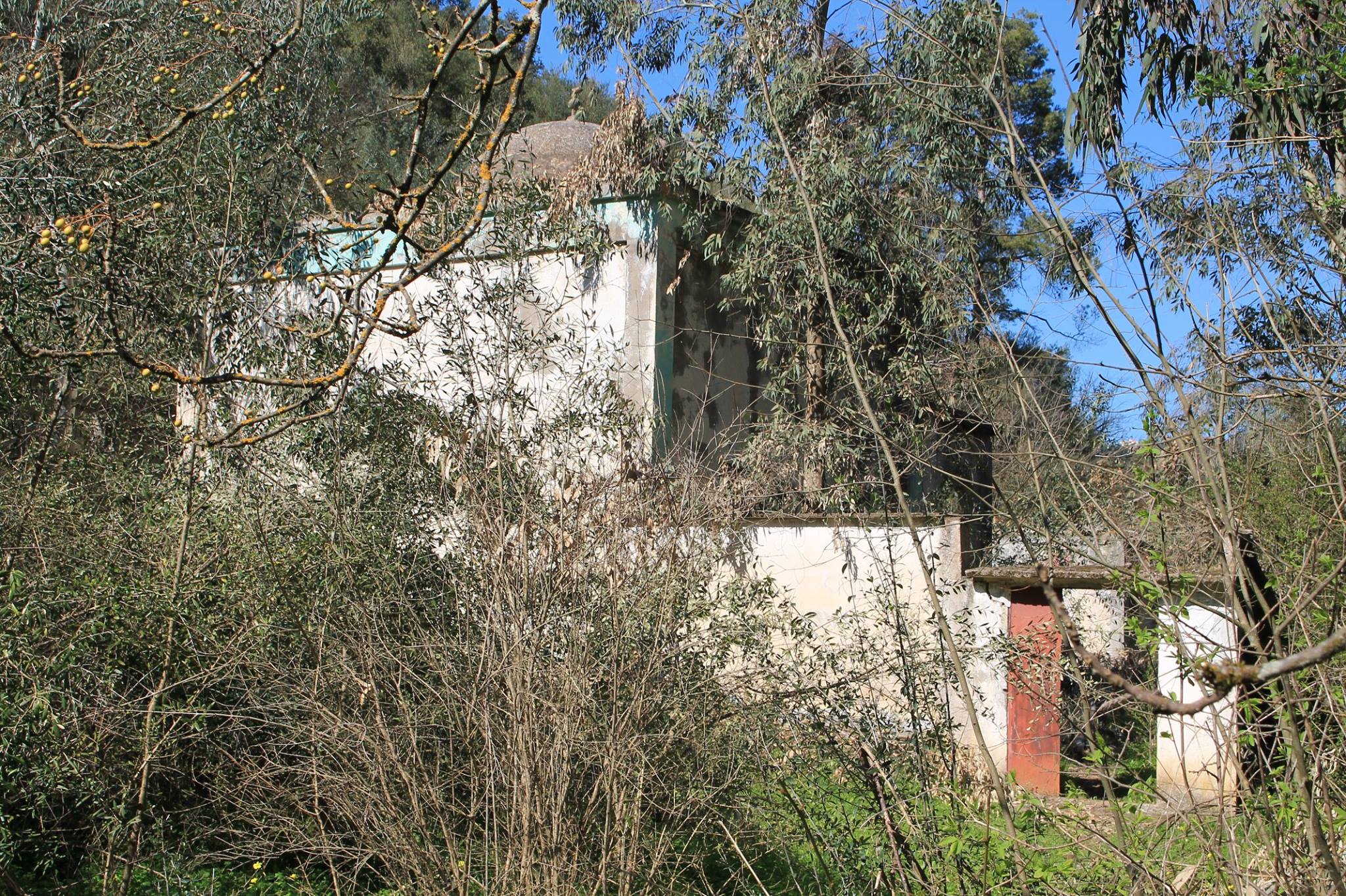 La commune aux mille sources MECHTRAS