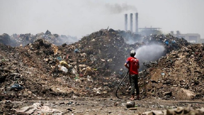 Illoula Oumalou (Tizi Ouzou) Cri de détresse d'un olivier à Boubhir