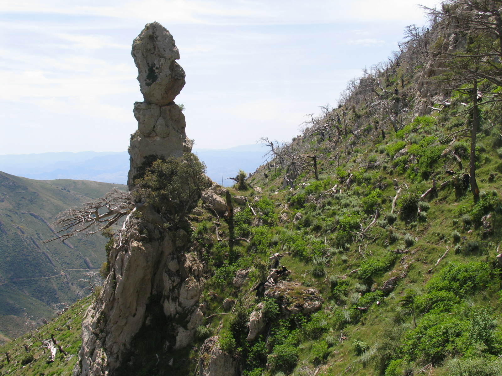 غابة أزرو ومضايق تاويالت (بلدية الأسنام):