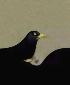 L'humain est binaire