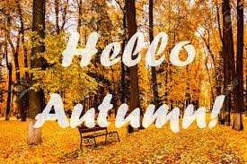 Algérie (Tiaret) -  Des feuilles mortes et des tracas