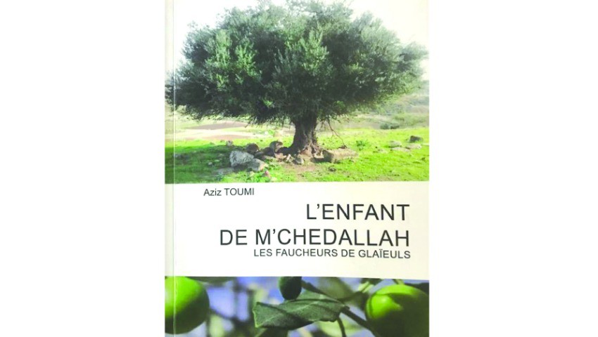 L’enfant de M’Chedellah, recueil de poésie de Aziz Toumi Une épopée en alexandrins