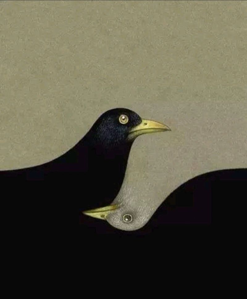 L'humain est binaire