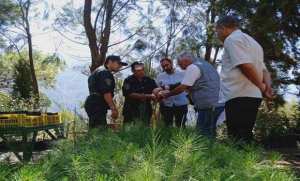 Blida: intérêt croissant pour l'agriculture de montagne