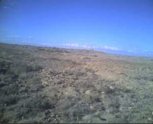 كدية الثعلوب