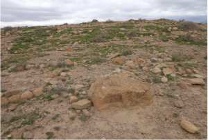 هنشير الرمادة