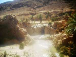 طاحونة فيريرو