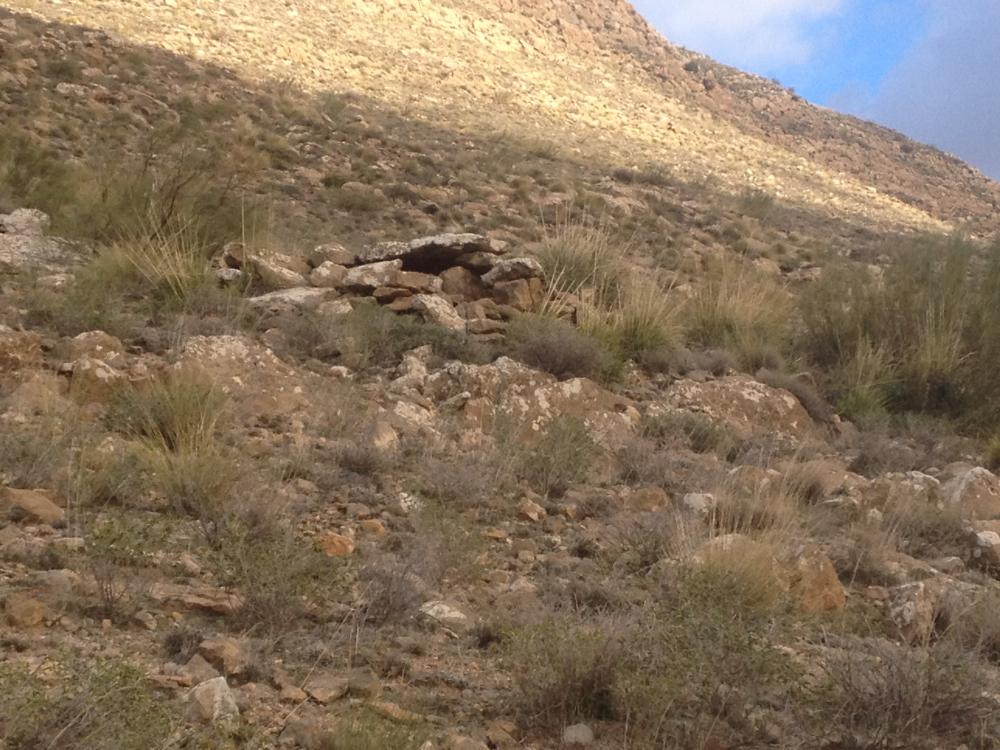 مقبرة الجر وصفية الأنشاش