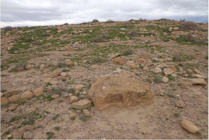 هنشير الرمادة