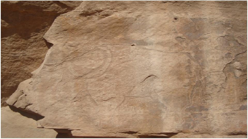 النقوش الصخرية تامسة