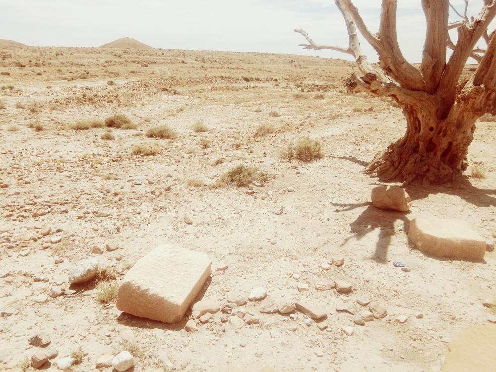 خربة جنان القبلي