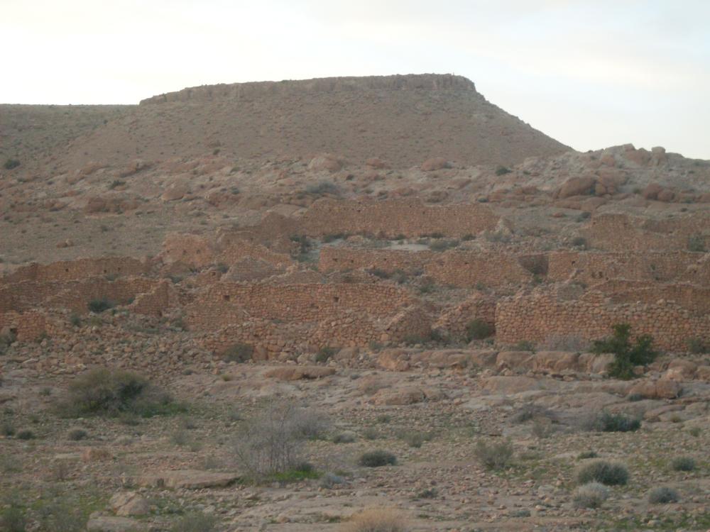 السلمية (عين لحنش)