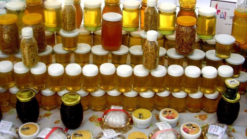 BOUMERDÈS Changement climatique, sécheresse, feux de forêt ; le miel se fait rare