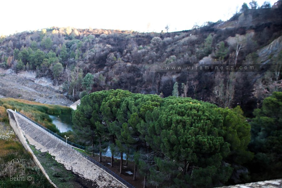 سد الحميز، الواقع على وادي العرباطش في المدخل الشرقي لميتيجة