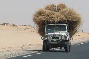 الدرين Le drinn