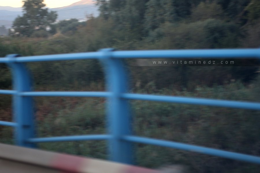 Oued El Hamiz : Une pollution grandissante