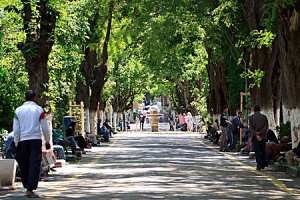 Le jardin Emir Abdelkader à Sétif
