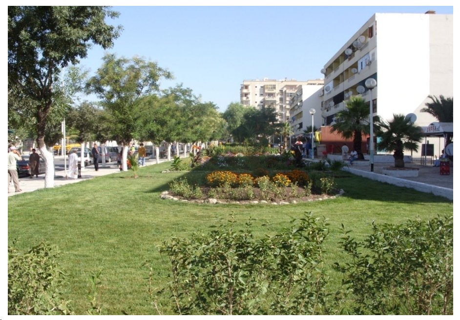 ESPACE VERT URBAIN ET PERIURBAIN DE SETIF : ETAT DES LIEUX ET PLACE DANS LA GESTION MUNICIPALE