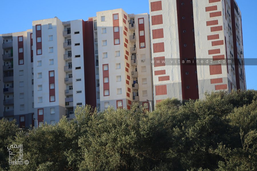 Consolidation de périphérie selon les dispositions du développement urbain durable cas de la périphérie Nord-est Khemis EL Khechna ville