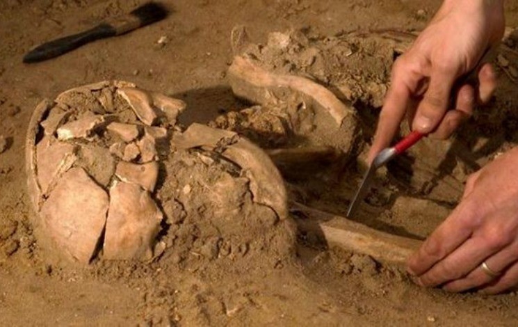 Aïn Boucherit est un site préhistorique situé dans la commune de Guelta Zerka, dans la wilaya de Sétif, en Algérie.