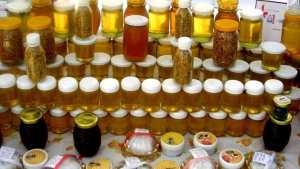 Algérie (Boumerdès) -  Changement climatique, sécheresse, feux de forêt; le miel se fait rare