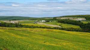 Algérie (El Tarf) -  9.118 hectares de terres agricoles à l’abandon !