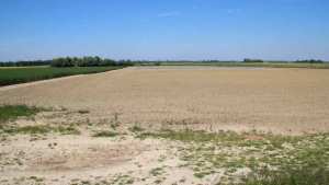 Algérie (Sidi-Bel-Abbès) -  2.000 ha de terres non exploitées retirées à leurs bénéficiaires en 2023