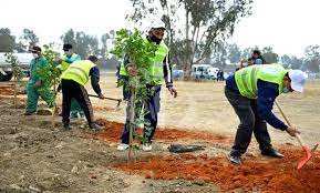 Algérie (Alger) - Forêts et ceinture verte de la capitale: Opérations de reboisement dans plusieurs communes