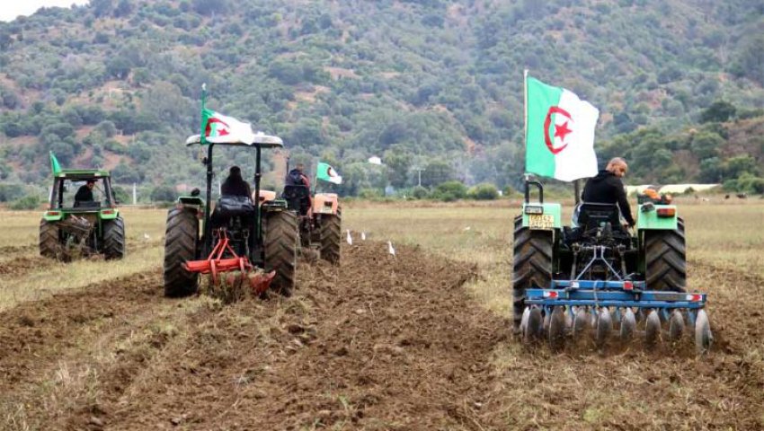 Algérie (Sidi Bel Abbès) - Campagne labours-semailles: Les mesures d’urgence du wali
