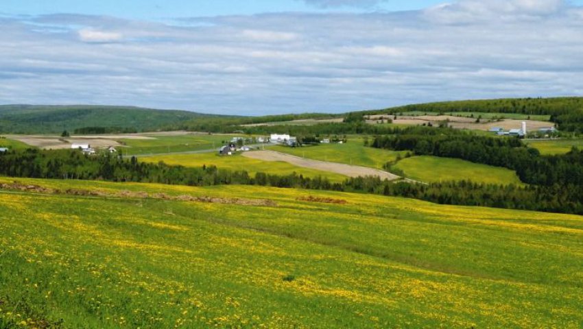Algérie (El Tarf) -  9.118 hectares de terres agricoles à l’abandon !