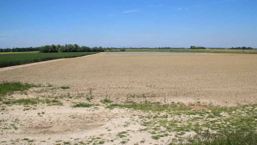 Algérie (Sidi-Bel-Abbès) -  2.000 ha de terres non exploitées retirées à leurs bénéficiaires en 2023