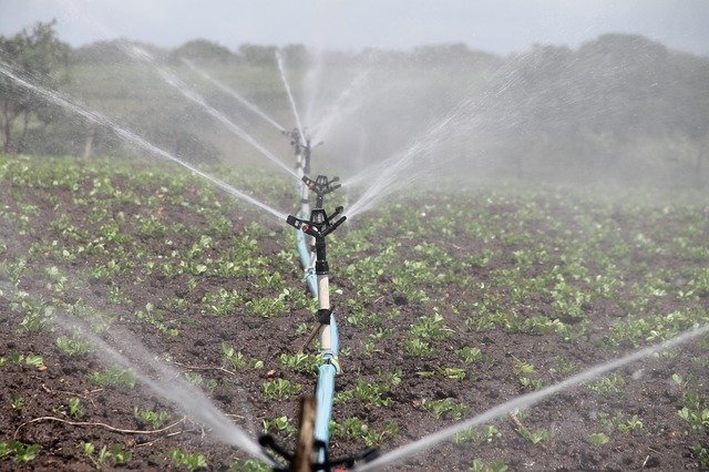 Algérie (M’Sila) -  Irrigation des espaces verts via la station d’épuration