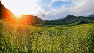 مدينة عين الكبيرة