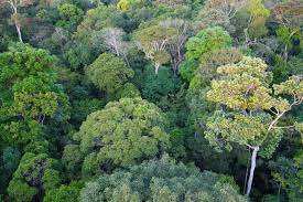 Planète - Environnement: dix bonnes nouvelles pour la planète en 2023