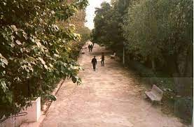 Algérie (Mascara) -  Projet de revitaliser le jardin Pasteur