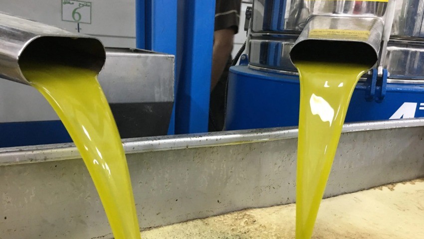 Béjaïa L’olive se fait avare