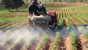 Météo Le sourire des fellahs