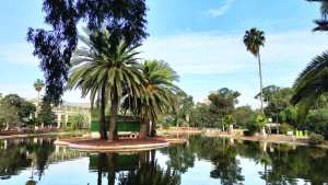 Algérie (Mascara) - Les espaces verts, une nouvelle priorité