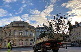 Planète (France/Europe) - Rennes: Ces arbres que vous ne verrez bientôt plus dans le centre-ville