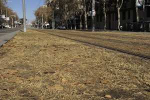 Planète (Espagne/Europe) - Barcelone assoiffée après trois ans de sécheresse