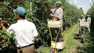 Oran Retour à l’agriculture