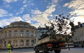 Planète (France/Europe) - Rennes: Ces arbres que vous ne verrez bientôt plus dans le centre-ville