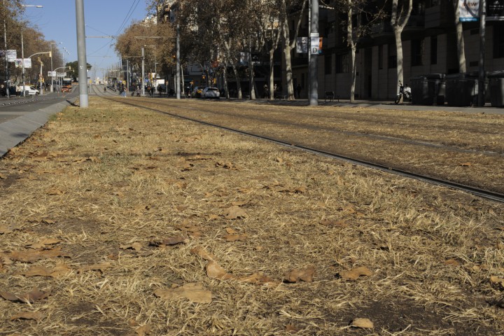 Planète (Espagne/Europe) - Barcelone assoiffée après trois ans de sécheresse